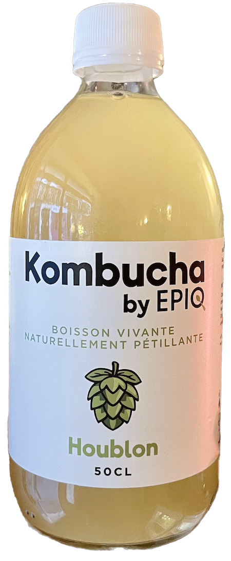 kombucha houblon